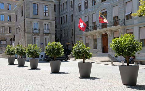 Genève fleurissement urbain Atech urbanature
